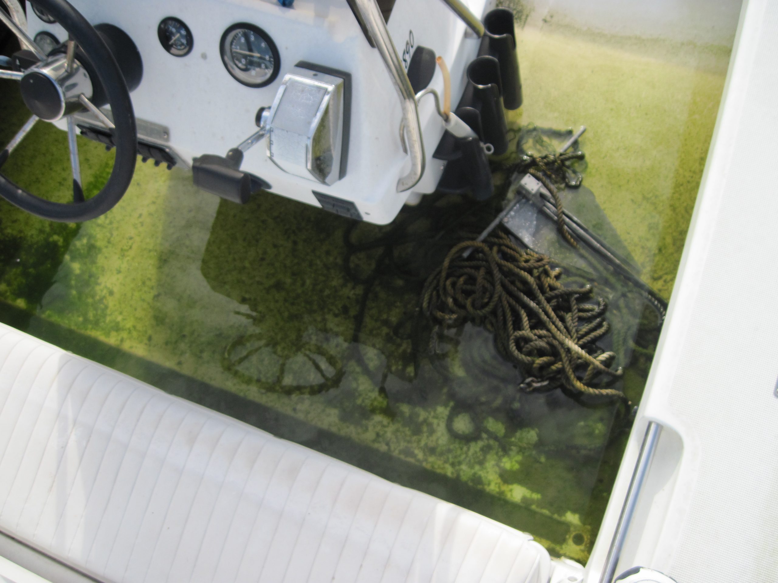 Boat before detailing at The Detail Depot in Clearwater FL