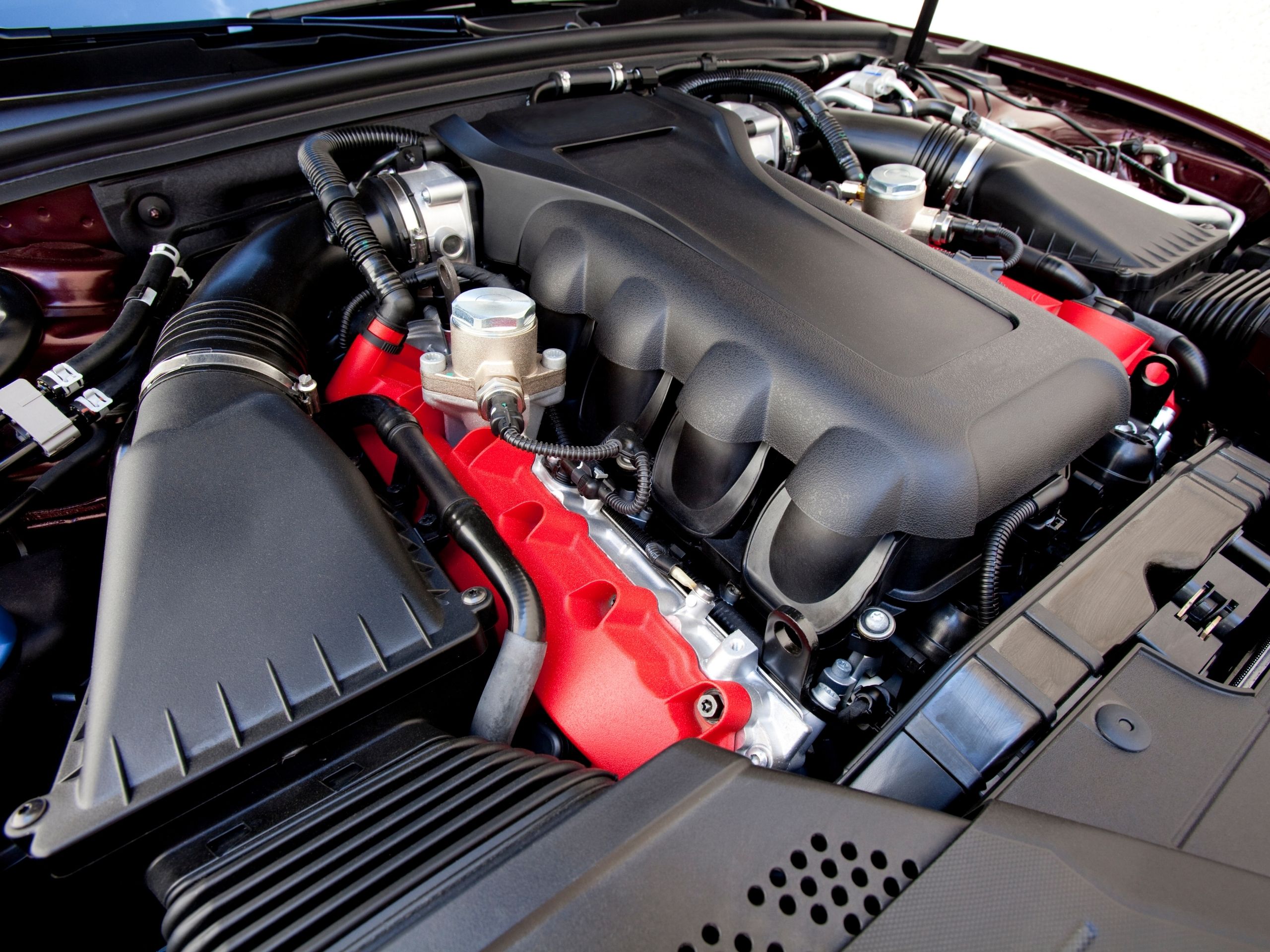 Engine bay cleaning at The Detail Depot in Clearwater FL