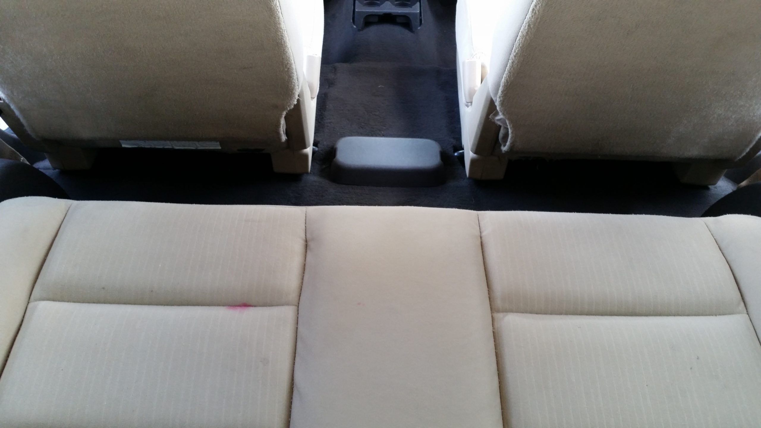 Ford wagon after paint correction at The Detail Depot in Clearwater FL