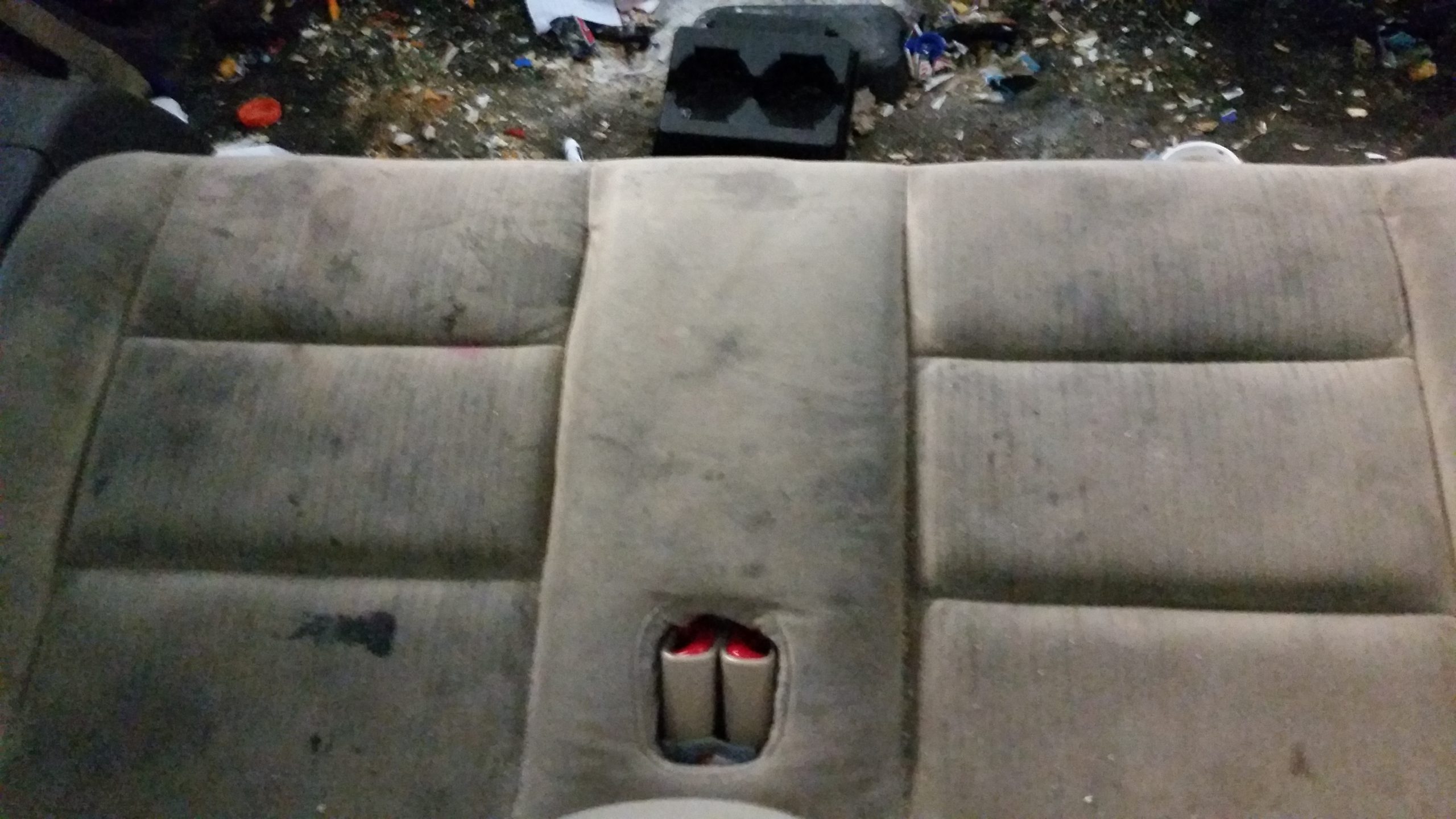 Ford wagon before paint correction at The Detail Depot in Clearwater FL